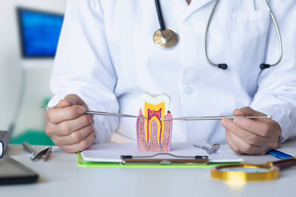 Best Chipped Tooth Repair Near Me  in Harrogate, TN